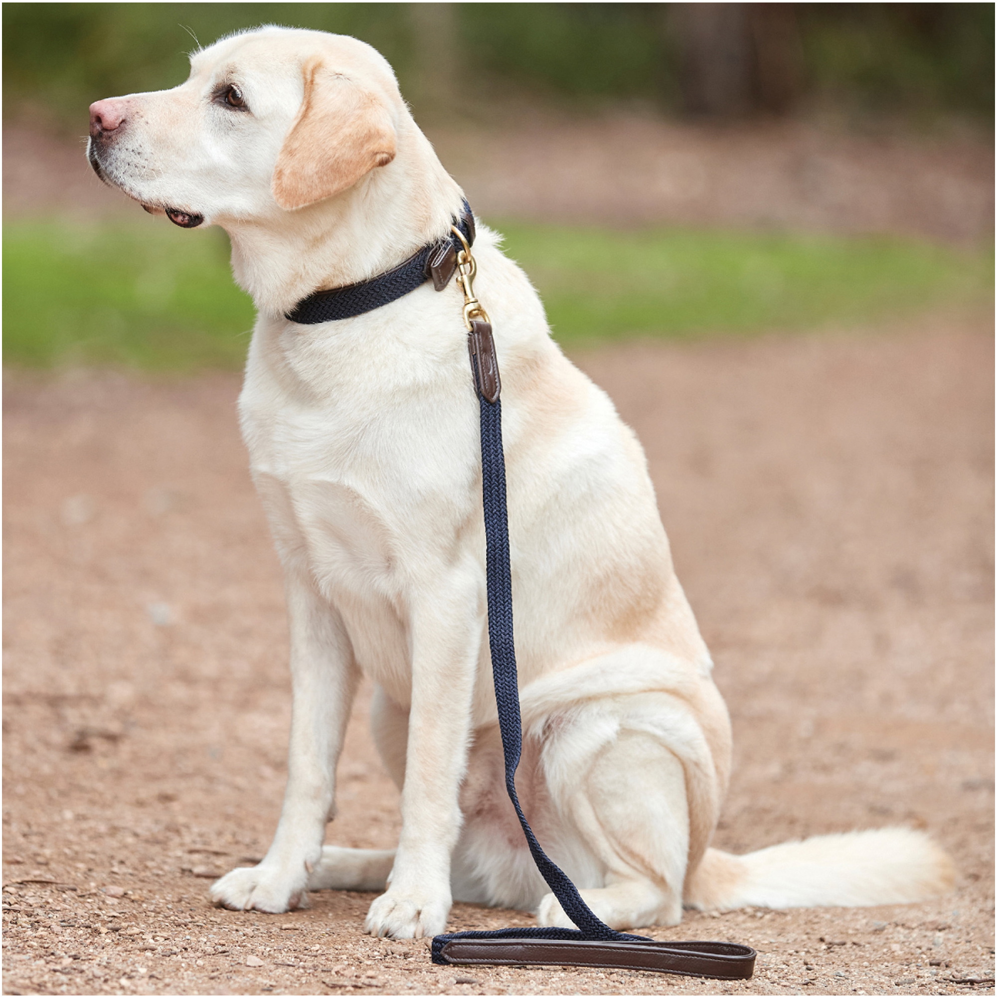 Weatherbeeta Leather Plaited Dog Collar - Brown / Navy